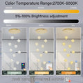 Gold Crystal LED Chandelier Staircase Ceiling Light
