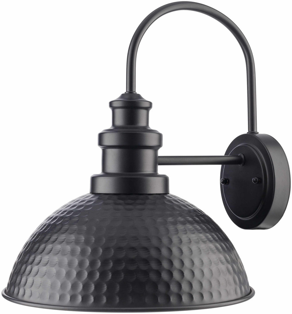 Caltimacan Outdoor Wall Sconce