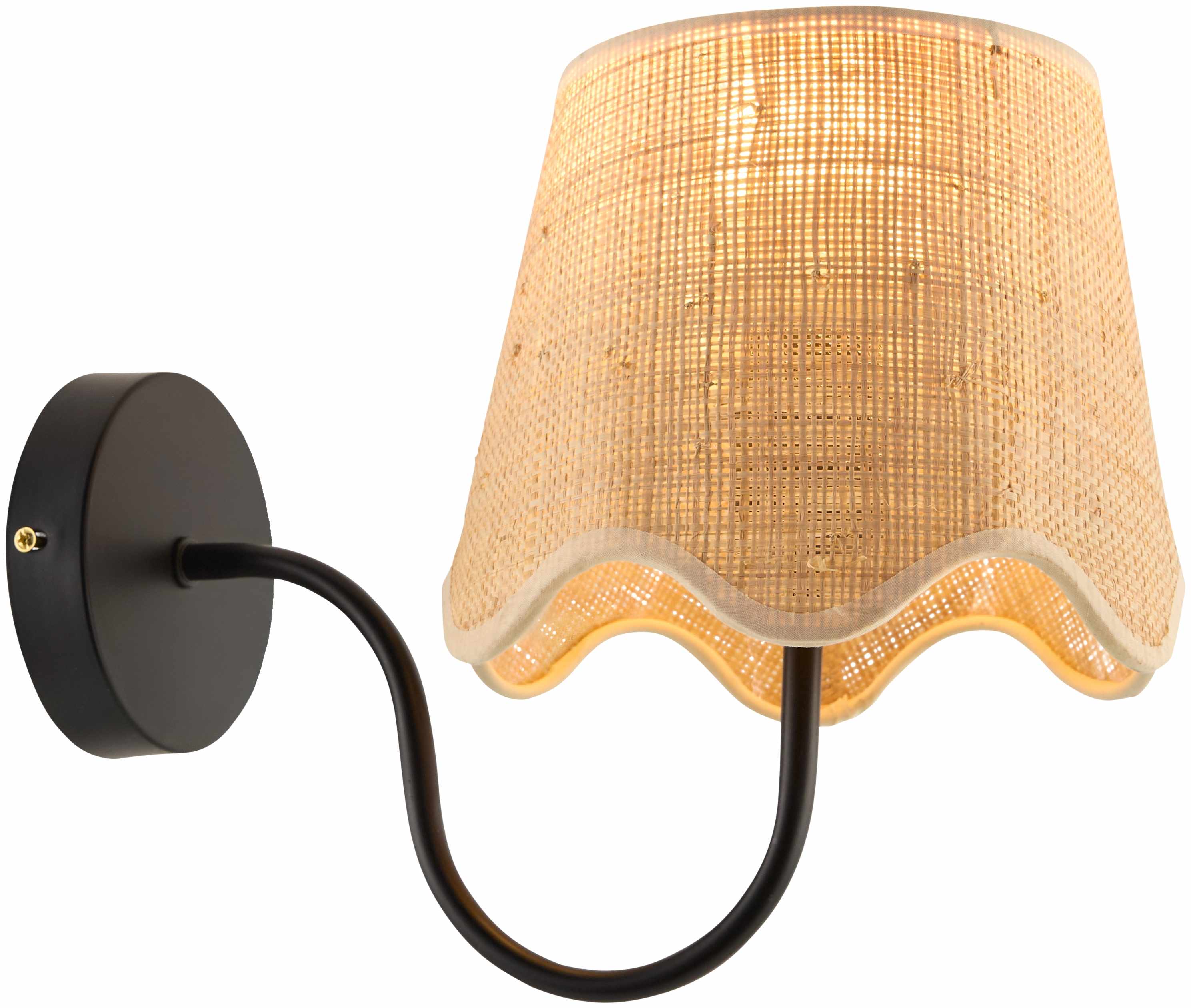 Aussillon Black Wall Sconce