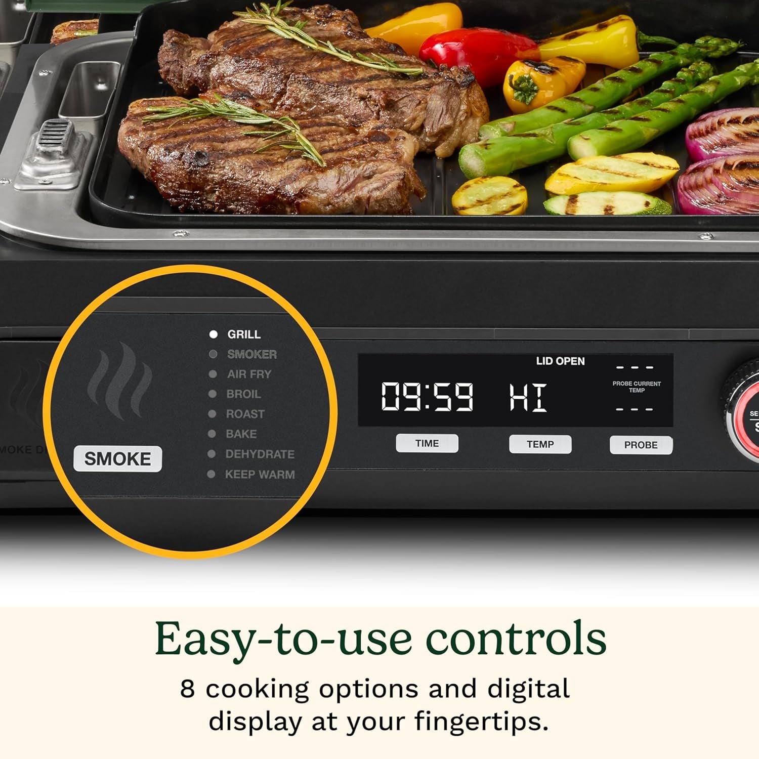Electric Outdoor Grill Smoker Smoke Drawer Smart Probe